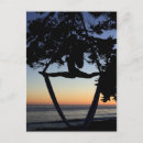 Zoek naar silk briefkaarten Antenne