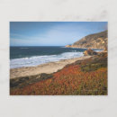 Recherche de big sur californie cartes postales Plante