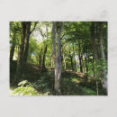 Recherche de forestier cartes postales Bois
