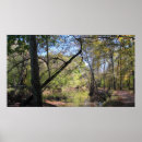 Recherche de course de rivière art Paysage