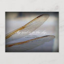 Recherche de ailes libellule cartes postales Nature