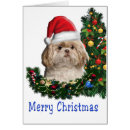 Recherche de shitzu vœux cartes Humour