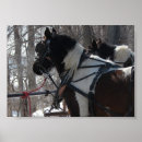 Recherche de cheval de travail posters Amish