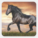 Recherche de beau cheval autocollants Chevaux