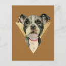 Recherche de pitbull blanc cartes postales Amoureux de les chiens