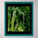 Zoek naar druppels posters Thuis