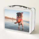 Zoek naar honden lunchboxen Puppy