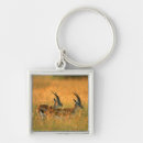 Recherche de antilope porteclés Gazelle
