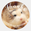 Zoek naar hamsters stickers Schattige hamster