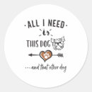 Recherche de dog autres Loup