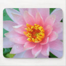 Recherche de nénuphars roses tapis souris Lis