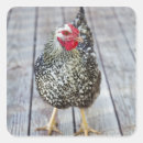 Recherche de solitude autocollants Longueur totale