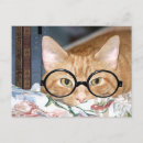 Recherche de chats et livres cartes postales Chaton
