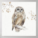 Recherche de hibou blanc posters Marron