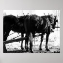 Recherche de tir posters Noir et blanc