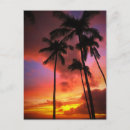 Recherche de maui cartes postales Saisonnier