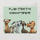 Recherche de salon toilettage prospectus Spa