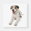 Recherche de hund maison deco Chien