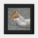 Recherche de papillon blanc magnets Coloré