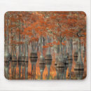 Recherche de smith tapis souris Cypress