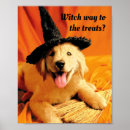 Zoek naar hond kostuum posters Huisdieren