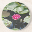 Recherche de nénuphar dessous de verres Eau