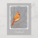 Recherche de portraits femelles cartes postales Pour tous