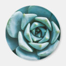 Recherche de épicerie verte magnets Cactus
