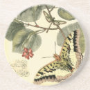 Recherche de insecte dessous de verres Rouge