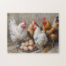Recherche de poule coq puzzles Volaille
