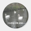 Recherche de de cygne refrigérateur magnets Amour