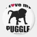 Zoek naar puggle magneten Gezelschapsdieren