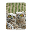 Recherche de poubelle magnets Nature