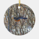 Recherche de oiseaux de merle ornements Hiver