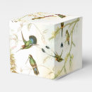 Recherche de colibri ballotins Floral