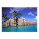 Recherche de seychelles art Palmier