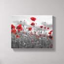 Recherche de toile de pavot Pavots