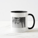 Recherche de cocotiers tasses Hawaïen