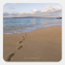 Recherche de maui autocollants Vacances