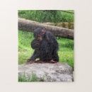 Zoek naar chimpansee puzzels Primaten