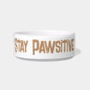 Recherche de chien articles Dachshund