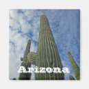 Zoek naar arizona magneten Reissouvenir