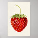 Zoek naar aardbei posters Fragaria