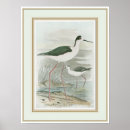 Recherche de marécage posters Côtier