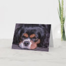 Zoek naar grappige koning kaarten Hondenliefhebber