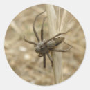 Recherche de spider autocollants Créatures