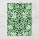 Recherche de pimpernel cartes postales Fleur