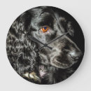 Recherche de cocker horloges Dog
