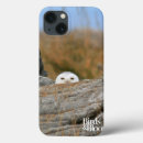 Recherche de neigeux électronique Hibou