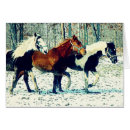 Recherche de équin photographie Hiver